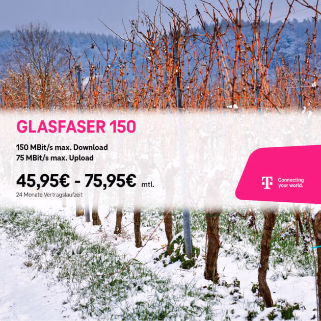 Schneebedeckte Weinreben bilden ordentliche Reihen in einem Weinberg. Der eingeblendete Text wirbt für Glasfaser 150 Internet mit Geschwindigkeiten von bis zu 150 MBit/s im Download und 75 MBit/s im Upload für 45,95€-75,95€/Monat.