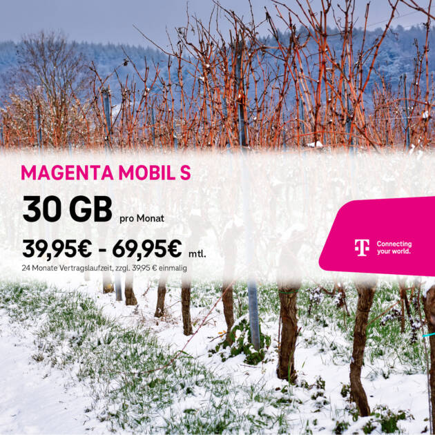 Ein winterlicher Weinberg mit verschneiten, blattlosen Rebstöcken. Eine Anzeige von Tele-Planet wirbt für Magenta Mobil S: 30 GB pro Monat für 39,95 bis 69,95 €, mit Telekom-Branding.