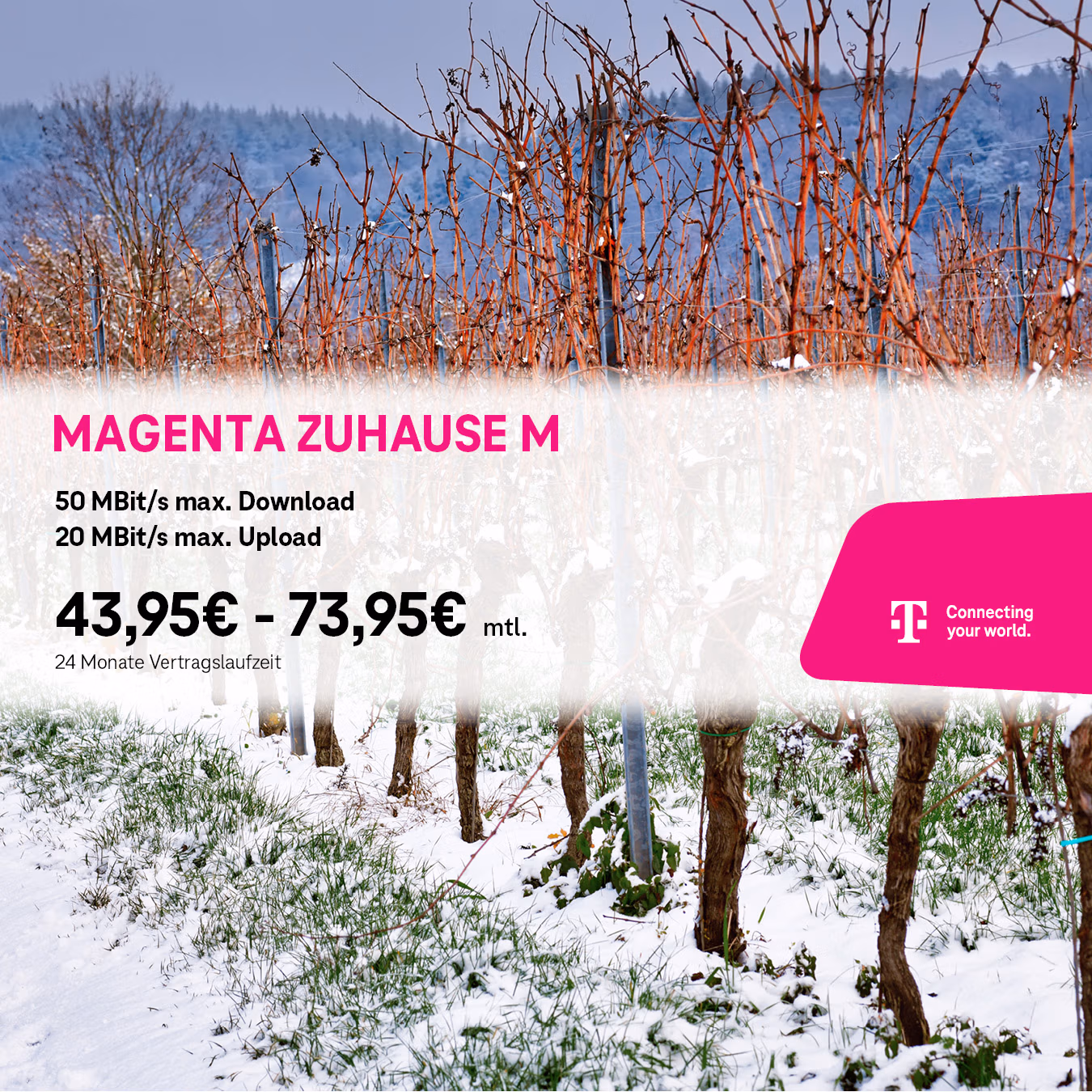 Ein verschneiter Weinberg mit kahlen Rebstöcken und einem Werbe-Overlay der Telekom, mitpräsentiert von Tele-Planet, das für "MagentaZuhause M" wirbt: 50 MBit/s Download, 20 MBit/s Upload, 43,95-73,95 €/Monat bei 24 Monaten Vertragslaufzeit.