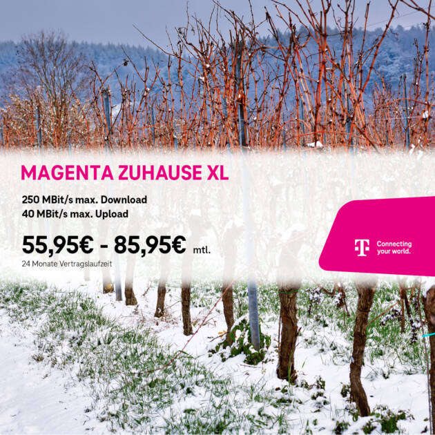 Weinstöcke in einem verschneiten Weinberg mit einem MagentaZuhause M Internet-Angebot von Tele-Planet, das die Download- und Upload-Geschwindigkeiten, die monatlichen Preise und die Vertragsdauer zeigt.