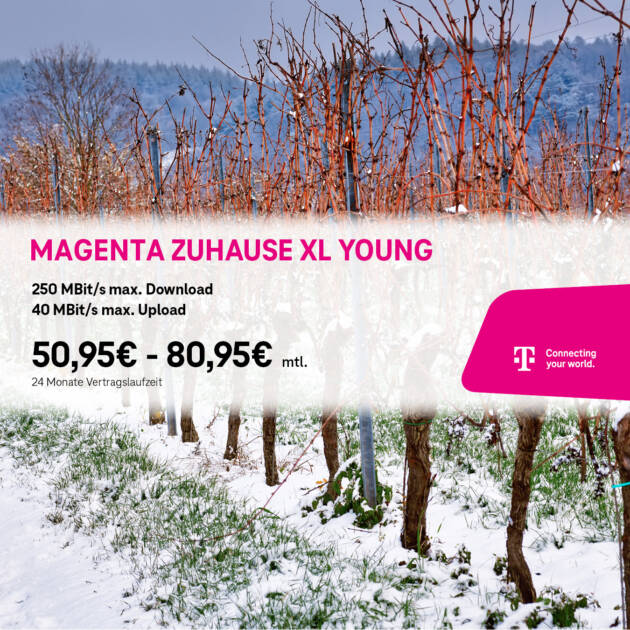 Schneebedeckter Weinberg mit blattlosen Weinreben, mit einem Telekom MagentaZuhause M Young Internetangebot von Tele-Planet, Werbegeschwindigkeiten und monatlichen Preisen in deutscher Sprache eingeblendet.