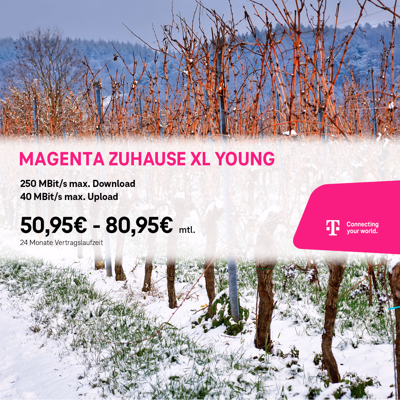 Schneebedeckter Weinberg mit blattlosen Weinreben, mit einem Telekom MagentaZuhause M Young Internetangebot von Tele-Planet, Werbegeschwindigkeiten und monatlichen Preisen in deutscher Sprache eingeblendet.