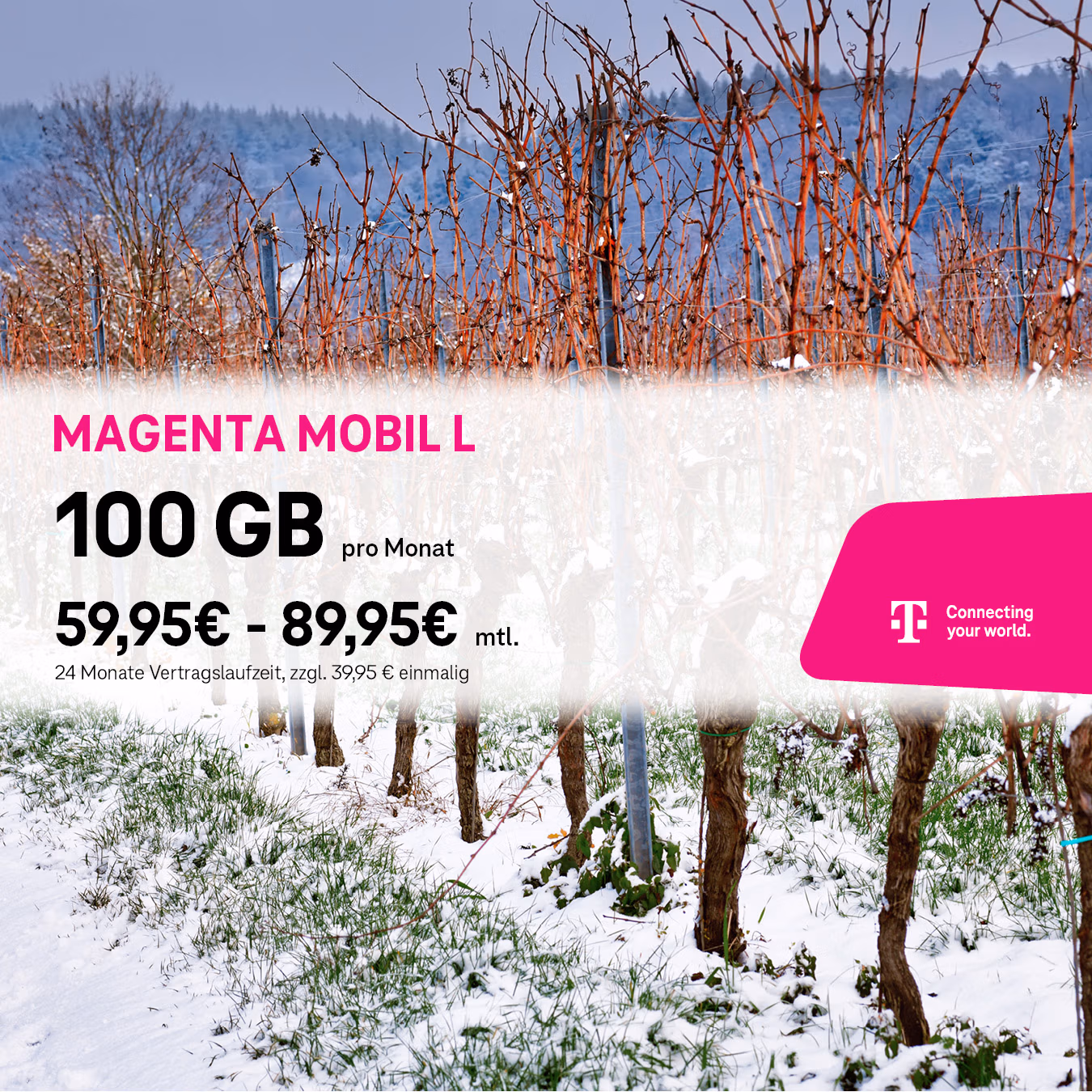 Schneebedeckter Weinberg mit kahlen Rebstöcken im Winter. Im Vordergrund wirbt eine Tele-Planet-Anzeige für "Magenta Mobil M", und rechts erscheint ein rosa Logo.